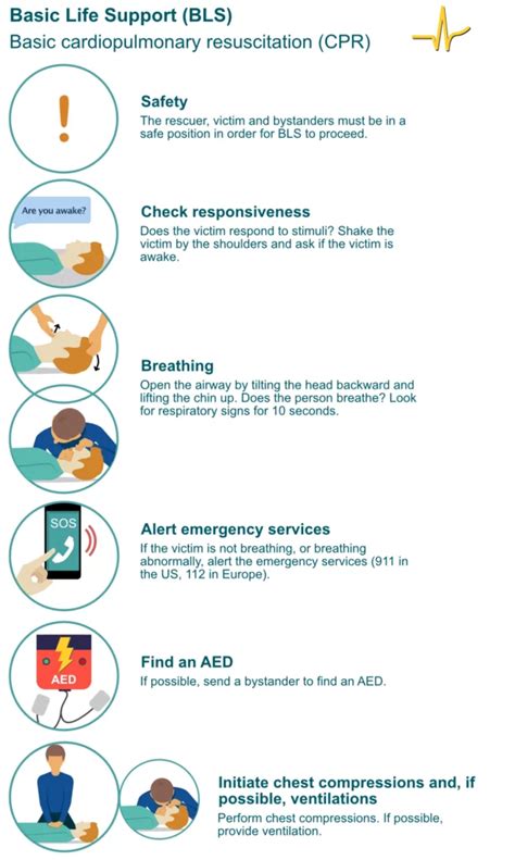 Basic Life Support (BLS) .